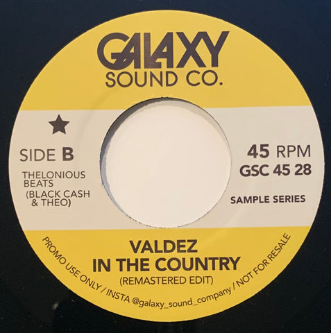 #466 We're In Love / Valdez In The Country