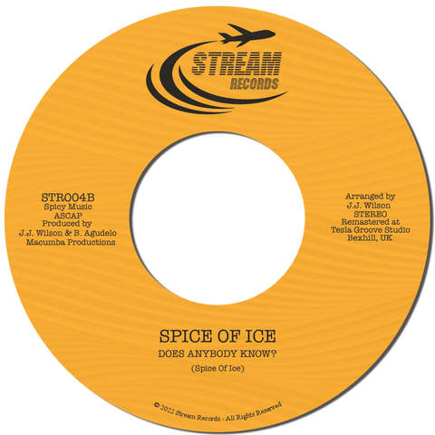 #959 Joy To The World / Does Anybody Know - Spice Of Ice