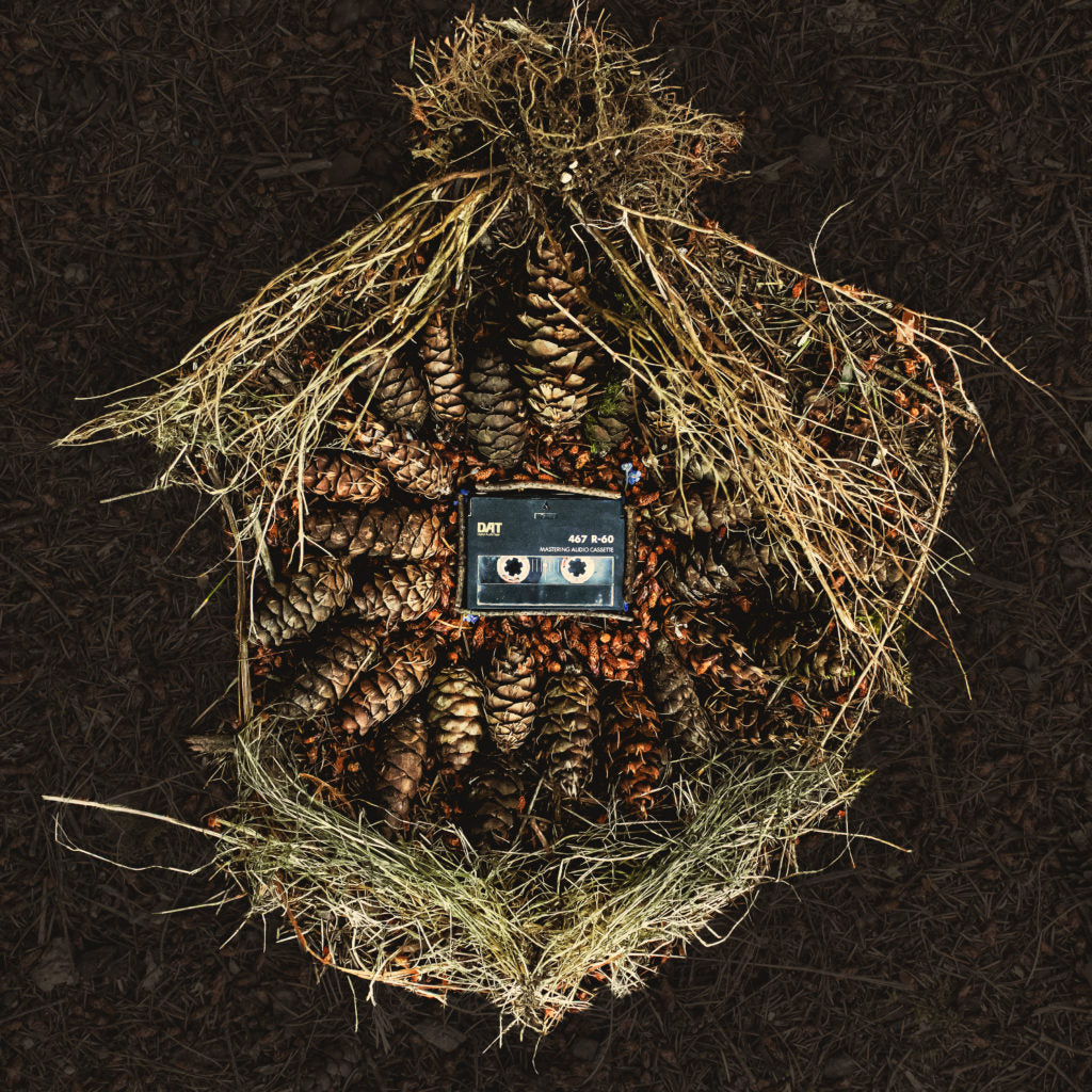 #443 Elephant Chase - The Native Language