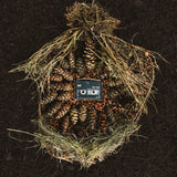 #443 Elephant Chase - The Native Language