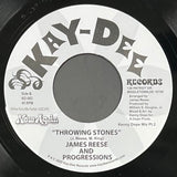 KD-083 Throwing Stones (Kenny Dope Pt.1 & 2) - James Reese & The Progressions