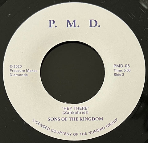 #945 Modernization / Hey There - Sons Of The Kingdom
