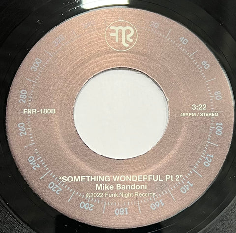 #990 Something Wonderful Pt.1 & 2 - Mike Bandoni
