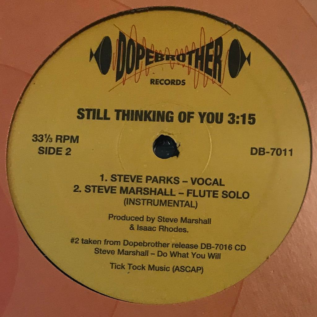DB-7011 Steve Parks - Still Thinking Of You